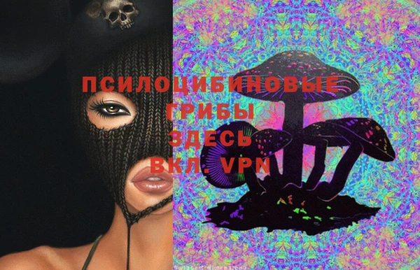 винт Баксан