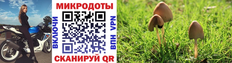 хочу наркоту  Таруса  Псилоцибиновые грибы GOLDEN TEACHER 